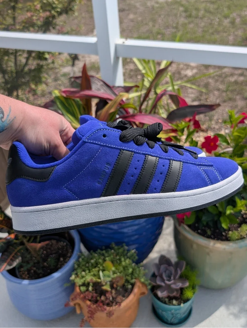 adidas campus 00s